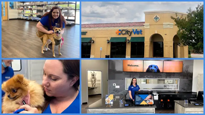 CityVet - Las Colinas To 6 low cost vets 