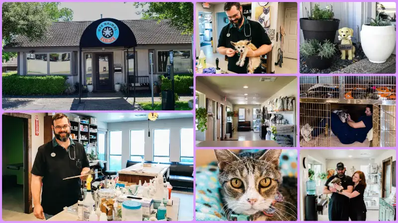 ATX Animal Clinic, Best Vets in Austin