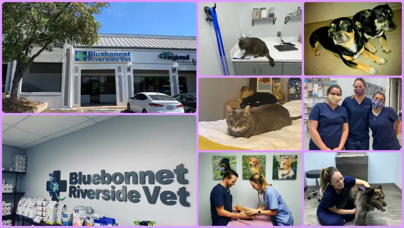 Bluebonnet Riverside Veterinary Clinic