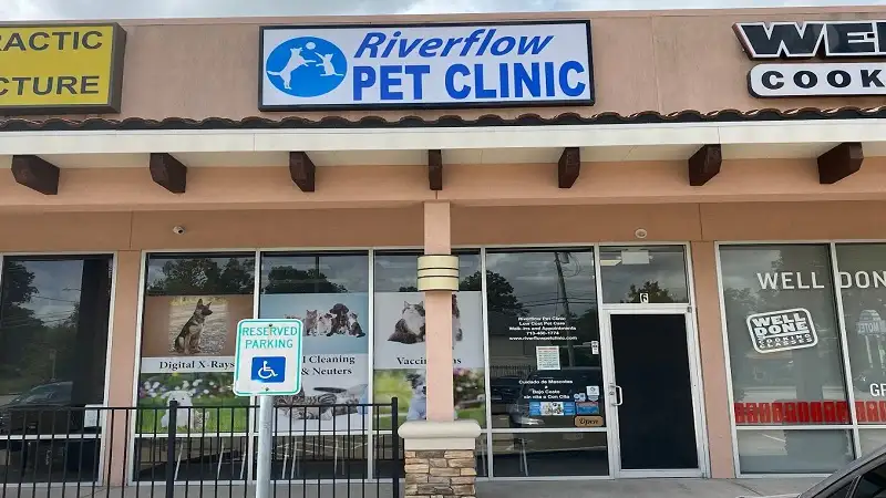 Affordable vet best sale clinic little york