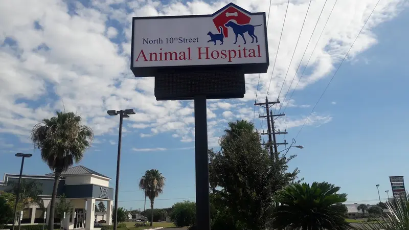 North 10th Street Animal Hospital